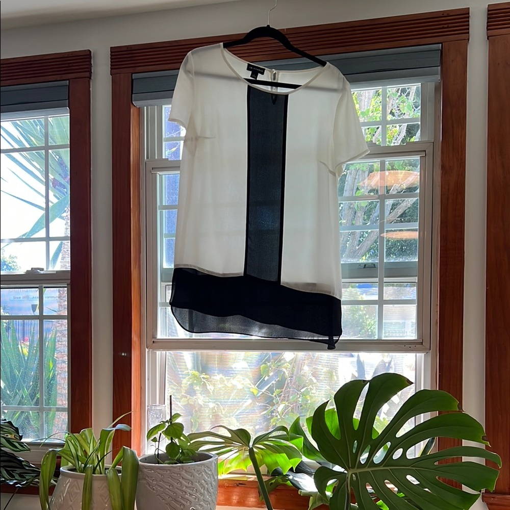 I.N. Studio Cream and Black Sheer Blouse